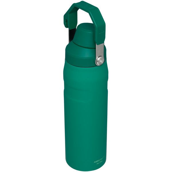 IceFlow Bottle with Fast Flow Lid | 24 OZ - Image 33