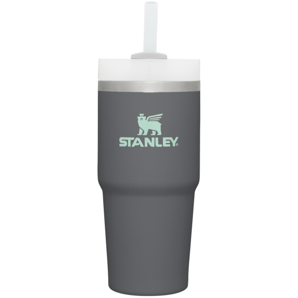 The Quencher H2.0 FlowState Tumbler  | 14 OZ - Image 28