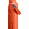IceFlow Bottle with Fast Flow Lid | 16 OZ