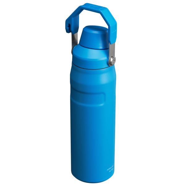 IceFlow Bottle with Fast Flow Lid | 24 OZ - Image 44