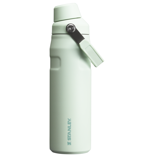 IceFlow Bottle with Fast Flow Lid | 24 OZ - Image 41