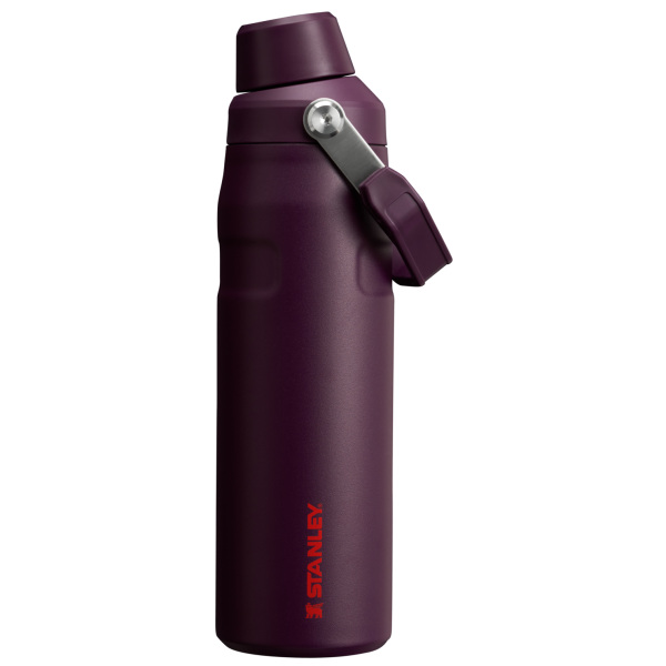 IceFlow Bottle with Fast Flow Lid | 24 OZ - Image 40