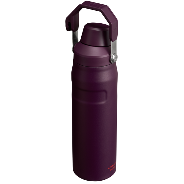 IceFlow Bottle with Fast Flow Lid | 24 OZ - Image 38