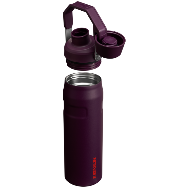 IceFlow Bottle with Fast Flow Lid | 24 OZ - Image 39