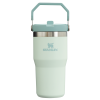 The IceFlow Flip Straw Tumbler | 20 OZ