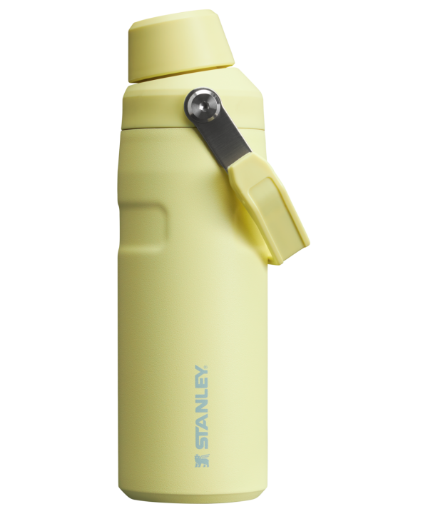 IceFlow Bottle with Fast Flow Lid | 16 OZ - Image 30