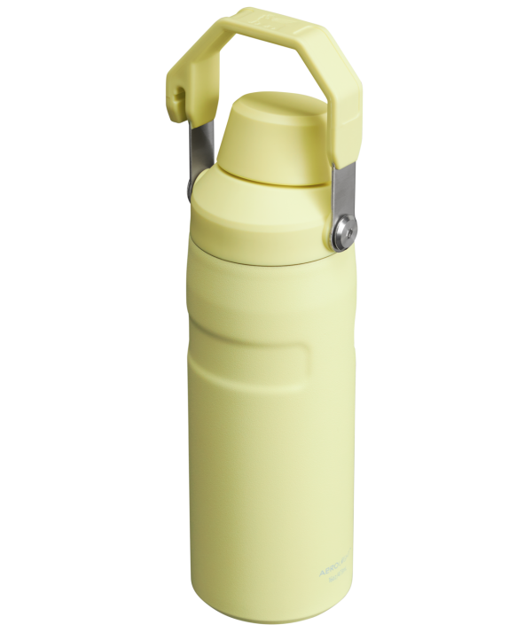 IceFlow Bottle with Fast Flow Lid | 16 OZ - Image 28