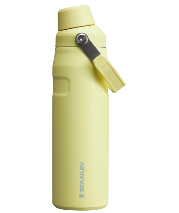 IceFlow Bottle with Fast Flow Lid | 24 OZ - Image 52
