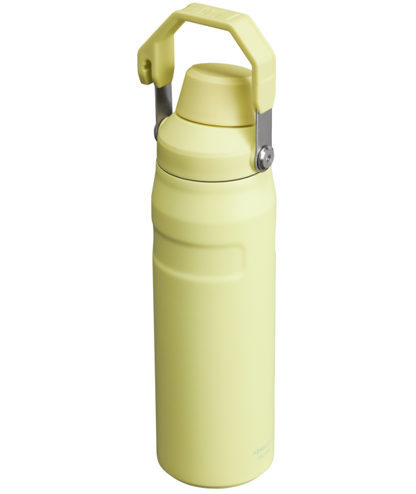 IceFlow Bottle with Fast Flow Lid | 24 OZ - Image 50