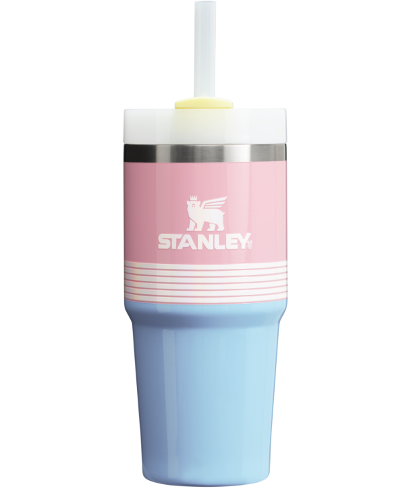 The Quencher H2.0 FlowState Tumbler  | 14 OZ (Vault)