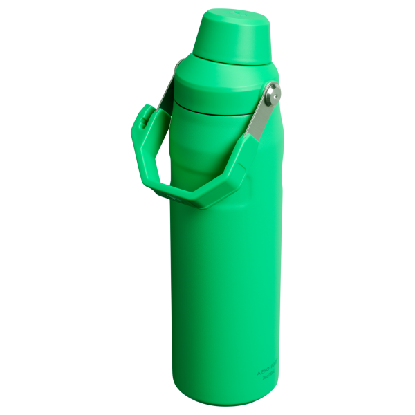 IceFlow Bottle with Fast Flow Lid | 24 OZ - Image 64