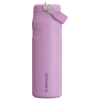 The IceFlow Bottle with Flip Straw Lid | 24 OZ