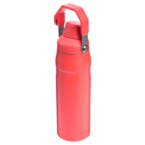 IceFlow Bottle with Fast Flow Lid | 24 OZ - Image 89