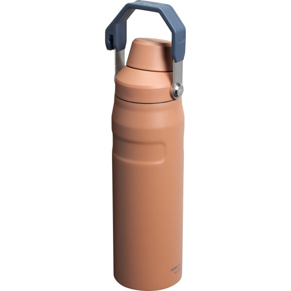 IceFlow Bottle with Fast Flow Lid | 24 OZ - Image 77