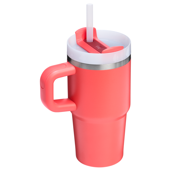 The Quencher H2.O FlowState Tumbler | 20 OZ - Image 51