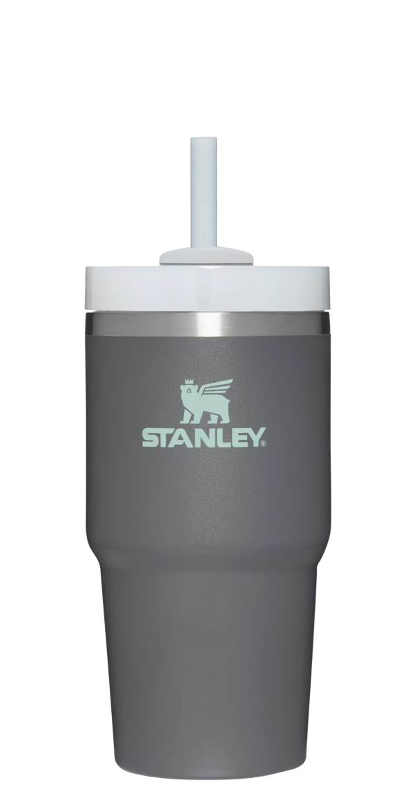 The Quencher H2.0 FlowState Tumbler | 20 OZ - Image 52