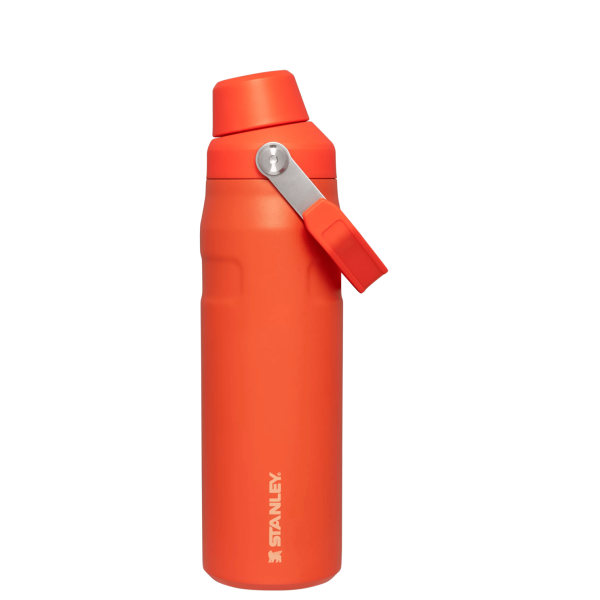 IceFlow Bottle with Fast Flow Lid | 24 OZ - Image 25