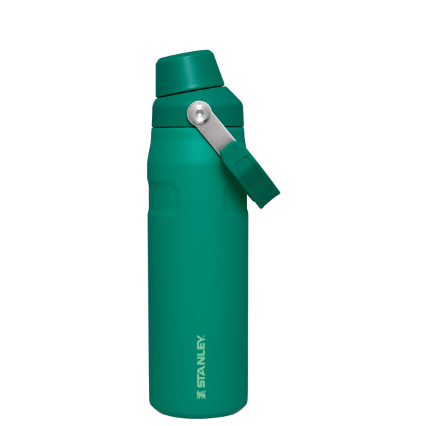 IceFlow Bottle with Fast Flow Lid | 24 OZ - Image 32
